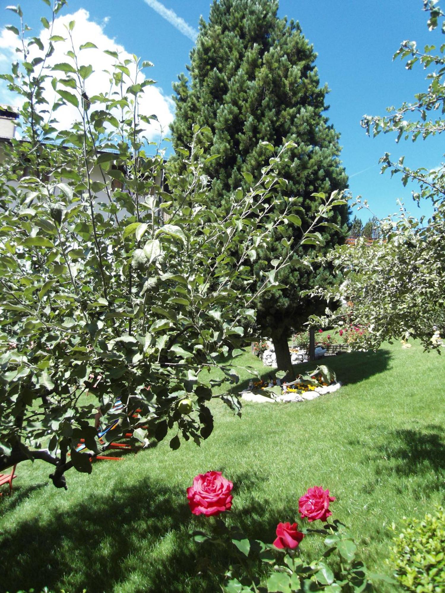 Hotel L'Ideale Moena Dış mekan fotoğraf